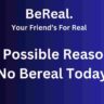 7 Best Possible Reasons for “No Bereal Today”